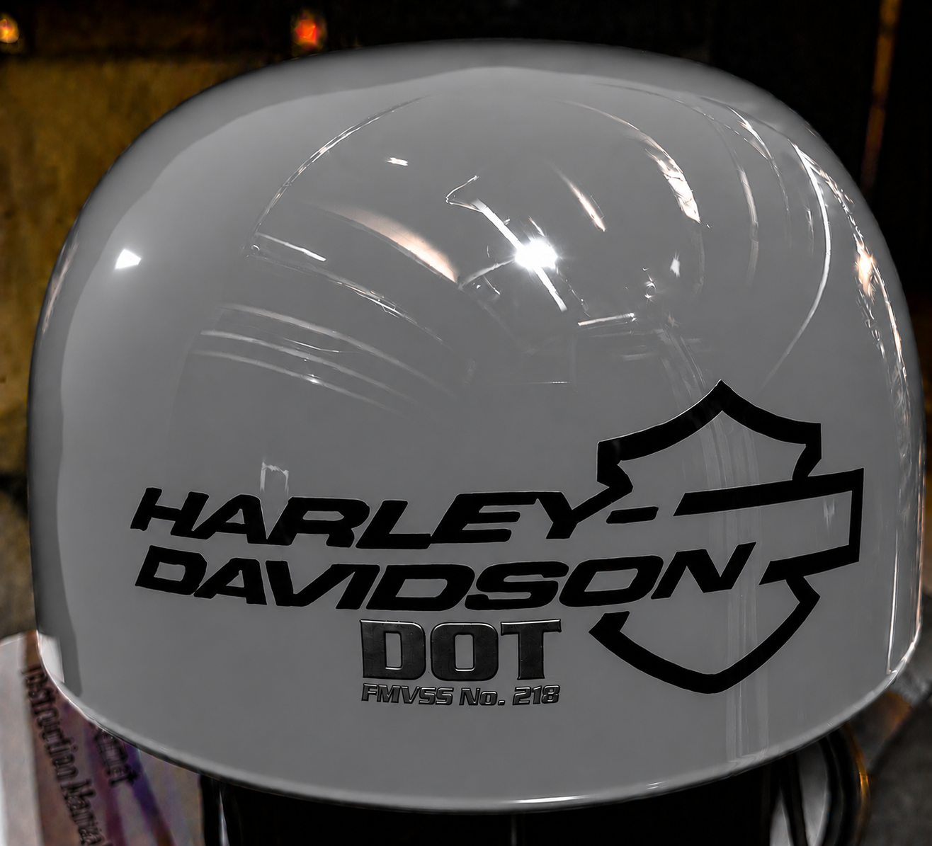 Custom Motorcycle Helmet