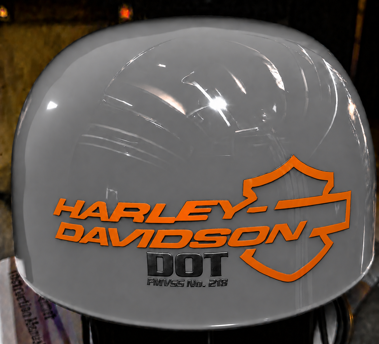 Custom Motorcycle Helmet
